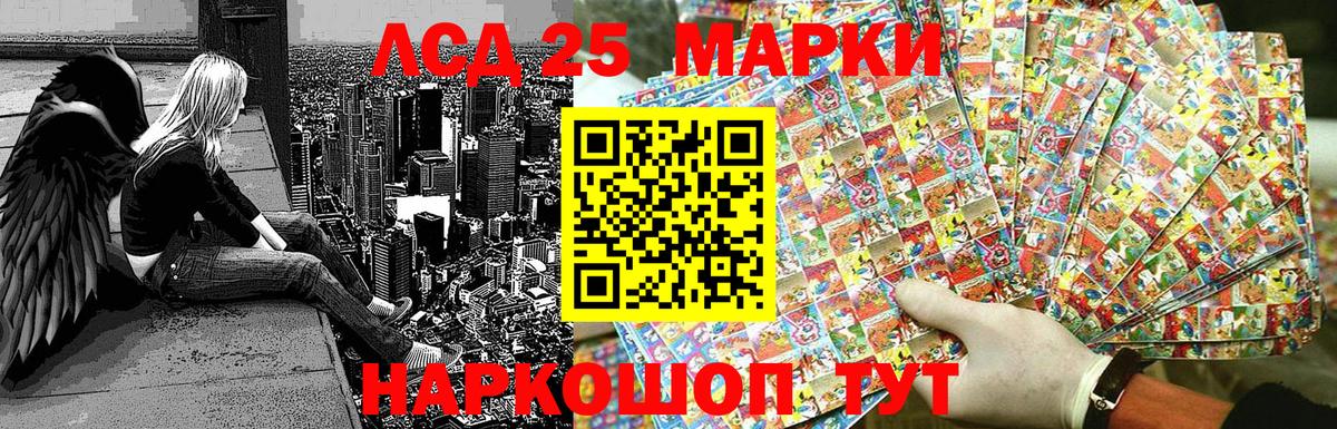 где купить наркоту  Наркотические марки 1,8мг  Вход с VPN  Новокубанск 